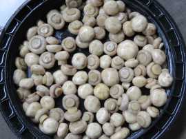 河北供应盐渍双孢菇，规格1-4cm，数量60吨。