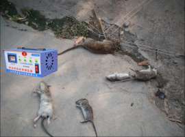 鼠力净高压电子灭鼠器