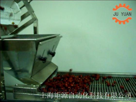 番茄酱生产线  西红柿汁提取上海矩源