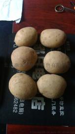 高产土豆种子冀张薯226